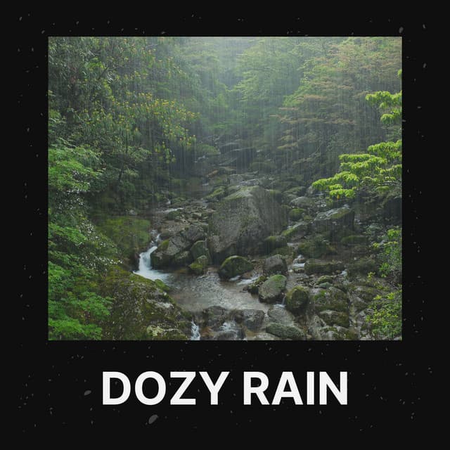 Dozy Rain - Meditation Rain Sounds
