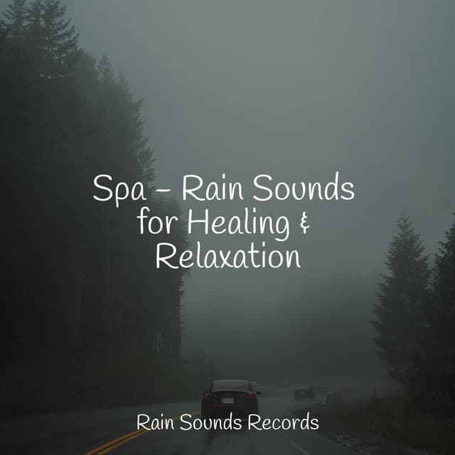 Spa - Rain Sounds for Healing & Relaxation - Weather Factory