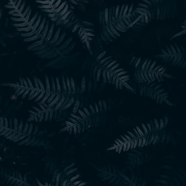 50 Meditation Sounds for Yoga, Zen and Spa - Soothing White Noise for Infant Sleeping and Massage