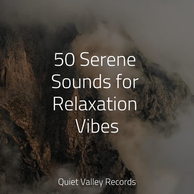 50 Serene Sounds for Relaxation Vibes - 125 Nature Sounds