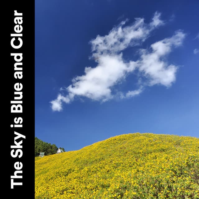 The Sky Is Blue and Clear - Organic Nature Sounds