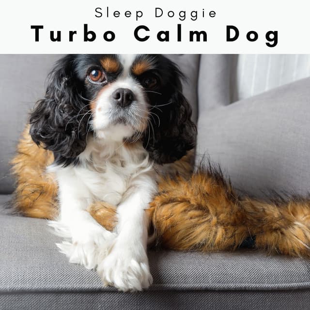 1 Turbo Calm Dog - Sleep Doggie