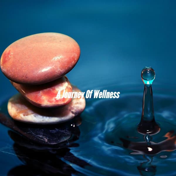 A Journey Of Wellness - Soft Jazz Relaxation