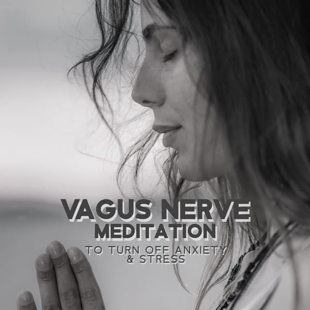 Vagus Nerve Mental Stillness to Turn off Anxiety & Stress - Jerry Goldstun