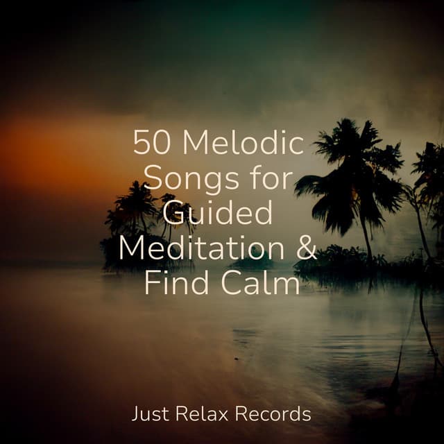 50 Melodic Songs for Guided Meditation & Find Calm - Sonido Del Bosque y Naturaleza