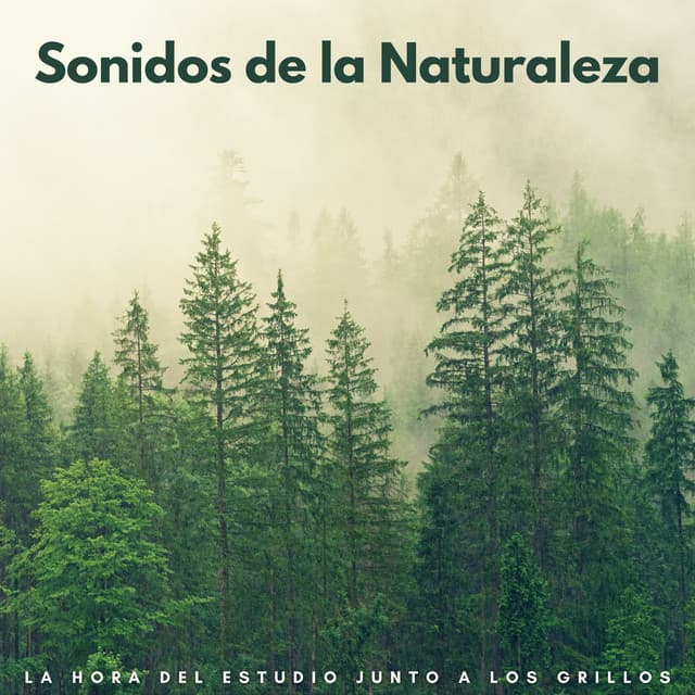 Sonidos De La Naturaleza: La Hora Del Estudio Junto A Los Grillos - Paisaje sonoro de la naturaleza