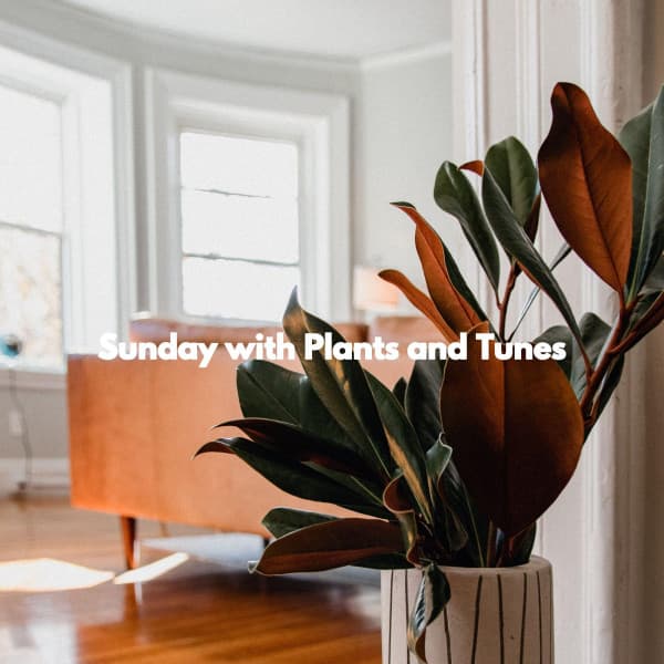 Sunday with Plants and Tunes - Brunch Jazz Playlist