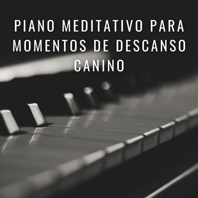 Huellas Armónicas: Piano Meditativo Para Momentos De Descanso Canino - Música relajante para cachorros