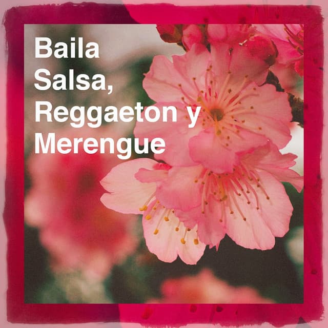 Baila Salsa, Reggaeton y Merengue - Reggaeton Latino