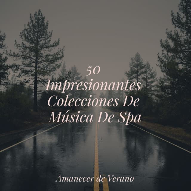 50 Impresionantes Colecciones De Música De Spa - Musica Relajante Specialistas & Musica Relajante