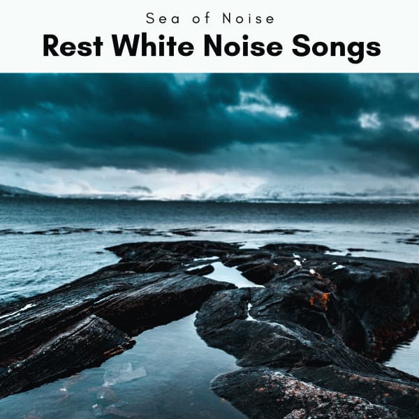 2 0 2 2 Rest White Noise Songs - Sea of Noise