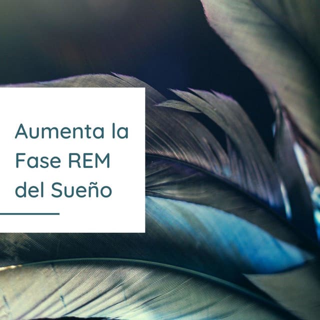 Aumenta la Fase REM del Sueño: Música para Dormir Profundamente - Musica Para Dormir