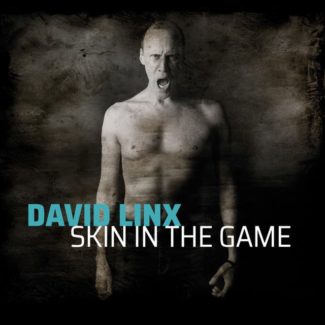 Skin in the Game - David Linx