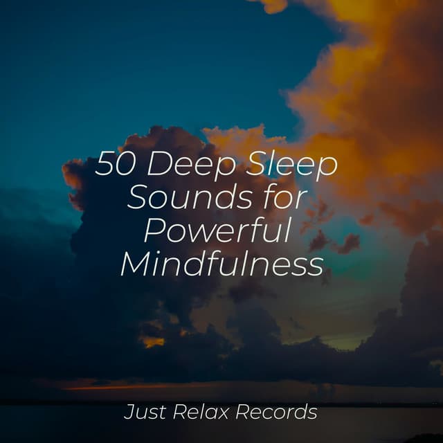 50 Deep Sleep Sounds for Powerful Mindfulness - Easy Sleep Music