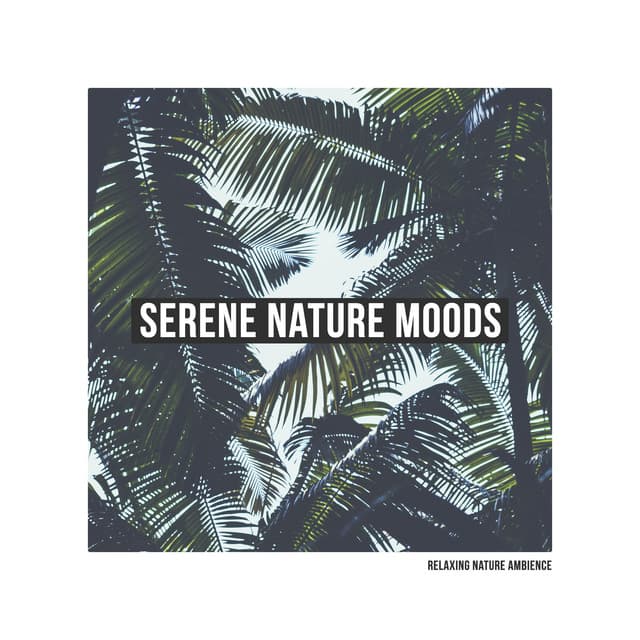 Serene Nature Moods - Relaxing Nature Ambience