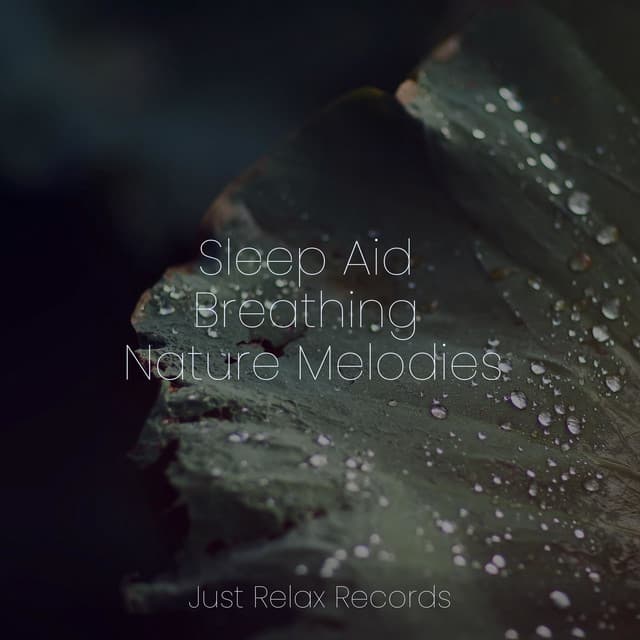 Sleep Aid Breathing Nature Melodies - Study Music & Sounds