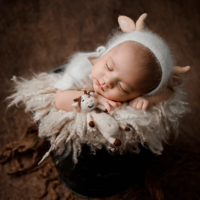 Moonlit Moments: Nighttime Music for Babies - Delightful Bowls Lullabies