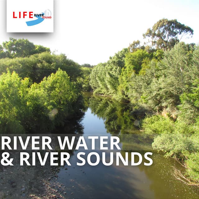 River Water & River Sounds - Life River Sound