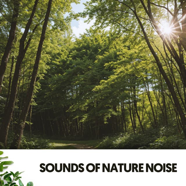 Sonidos Naturales y Ruido: Serenata Tranquila - Dog Relaxation