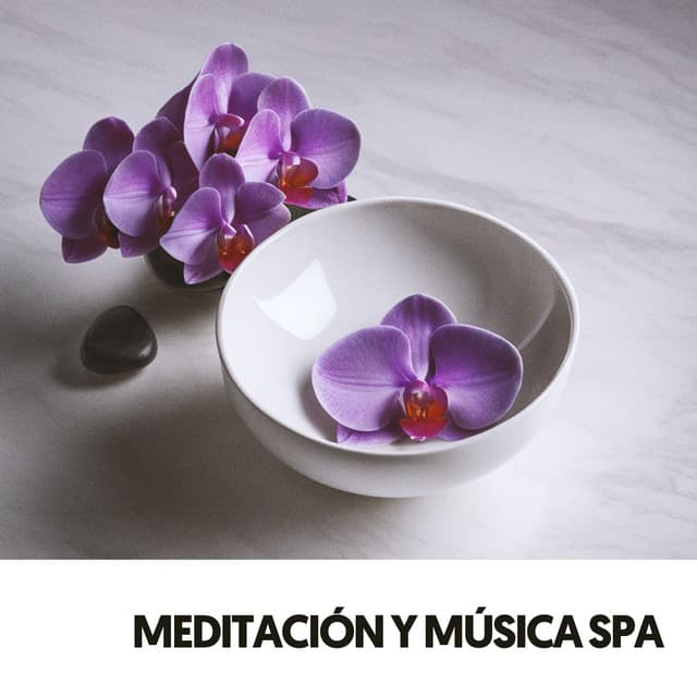 Guérison Spirituelle: Sérénades du Jardin Zen - Relajacion