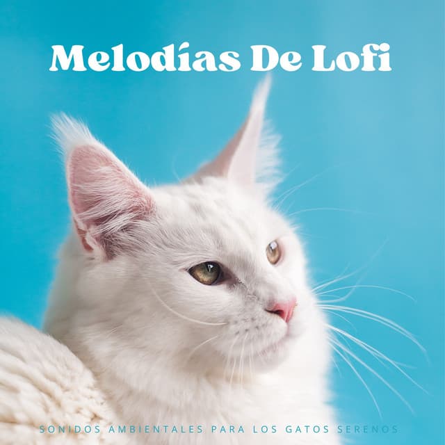 Melodías De Lofi: Sonidos Ambientales Para Los Gatos Serenos - Escalofrío Lofi