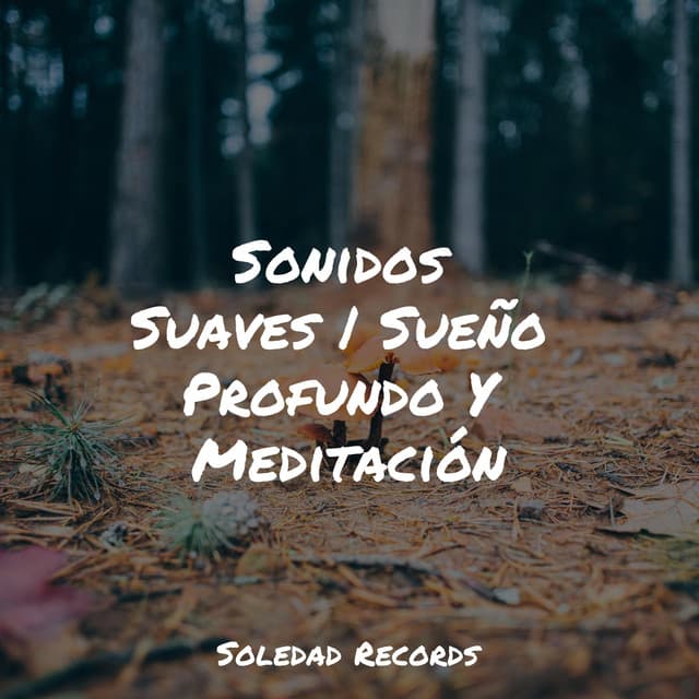 Sonidos Suaves | Sueño Profundo Y Meditación - Mantra para Dormir