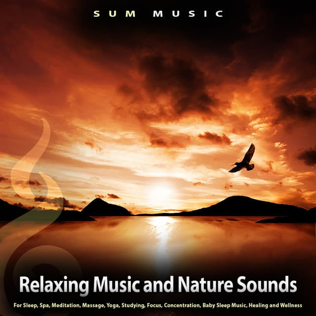 Relaxing Music and Nature Sounds For Sleep, Spa, Meditation, Massage, Yoga, Studying, Focus, Concentration, Baby Sleep Music, Healing and Wellness - Sum Music
