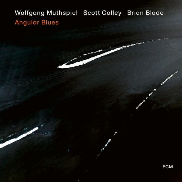 Angular Blues - Wolfgang Muthspiel
