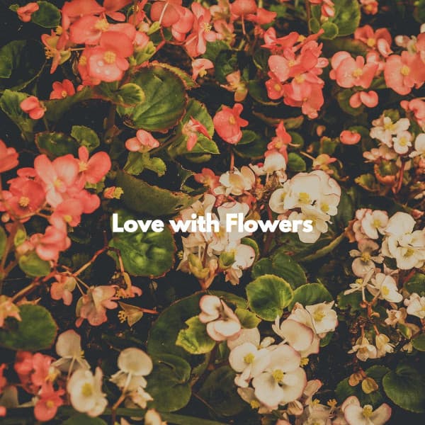 Love with Flowers - Harlem Jazz Guitar Quartet
