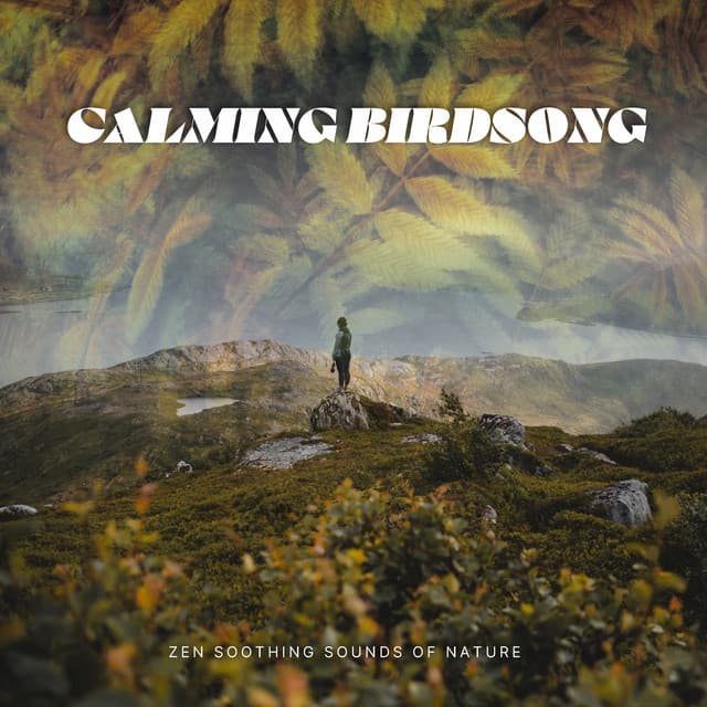 Calming Birdsong - Zen Soothing Sounds of Nature
