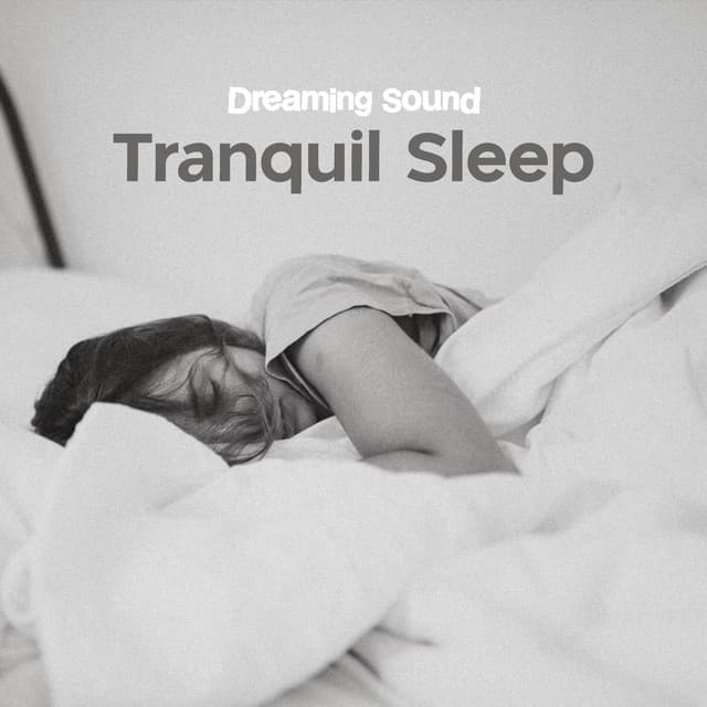 Tranquil Sleep - Dreaming Sound