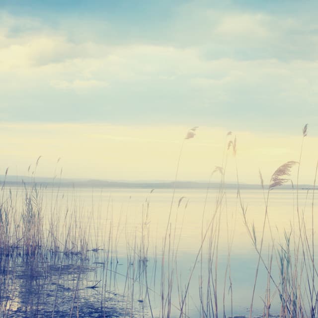 River’s End: The Final Flow Symphony - Sounds River