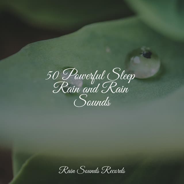 50 Powerful Sleep Rain and Rain Sounds - Meditation