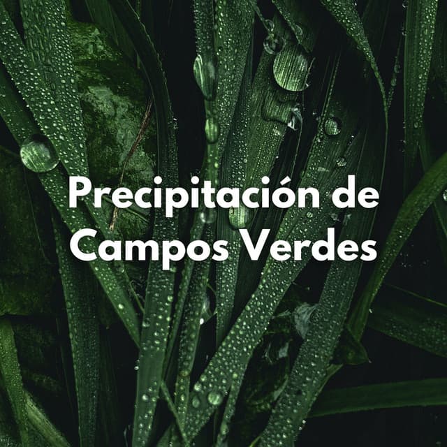Precipitación De Campos Verdes - Ambiente De Lluvia