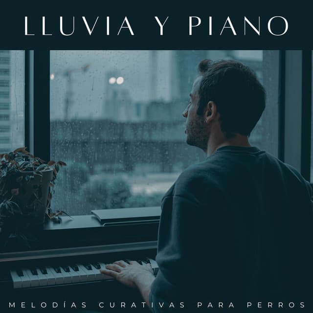 Relajante Piano Jazz