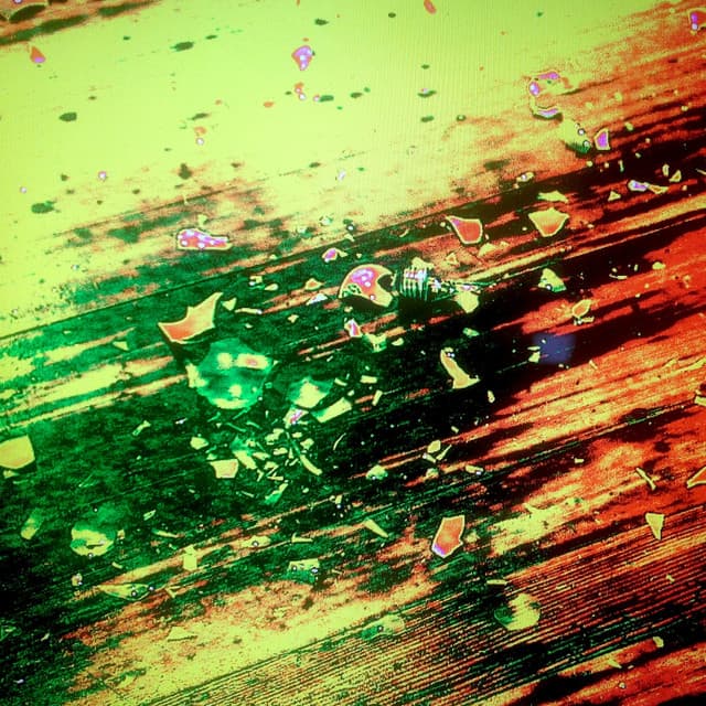 Purges - Peter Aaron