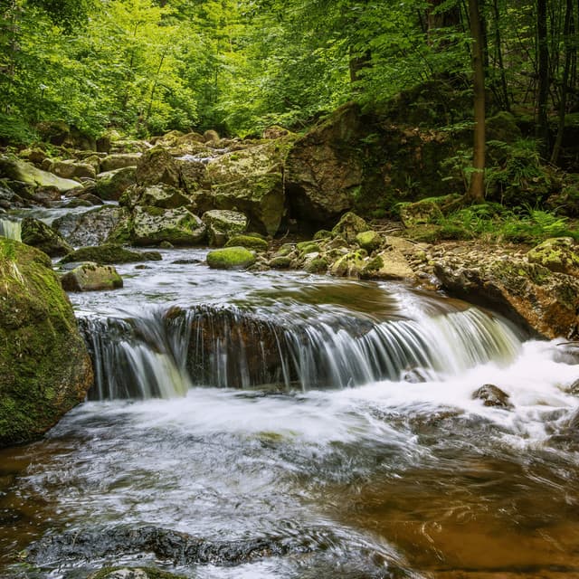 Timeless Stream: Eternal Water Flow Odyssey - Ethereal Moments