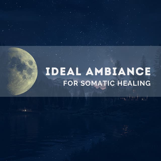 Ideal Ambiance for Somatic Healing - Quarantine Meditation