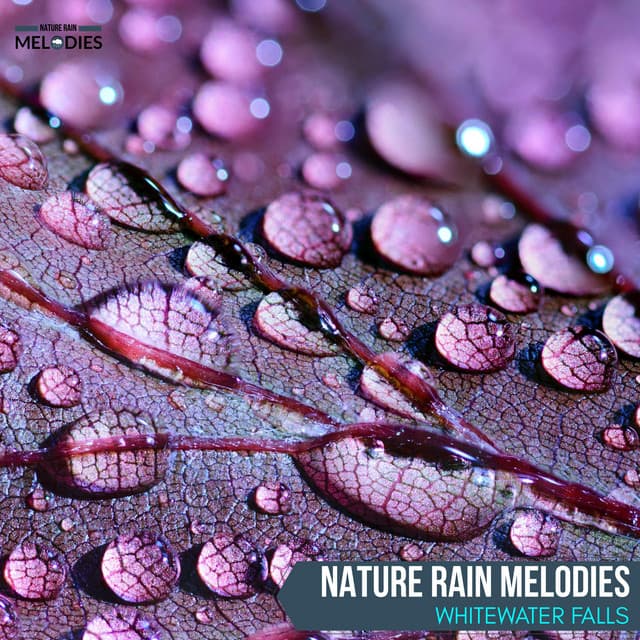 Nature Rain Melodies - Whitewater Falls - The Rain Library