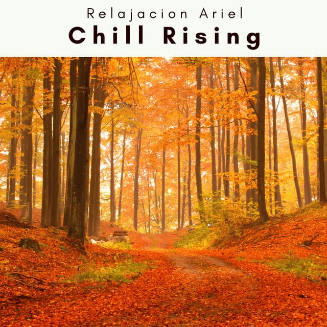 4 Rel: Chill Rising - Relajacion Ariel