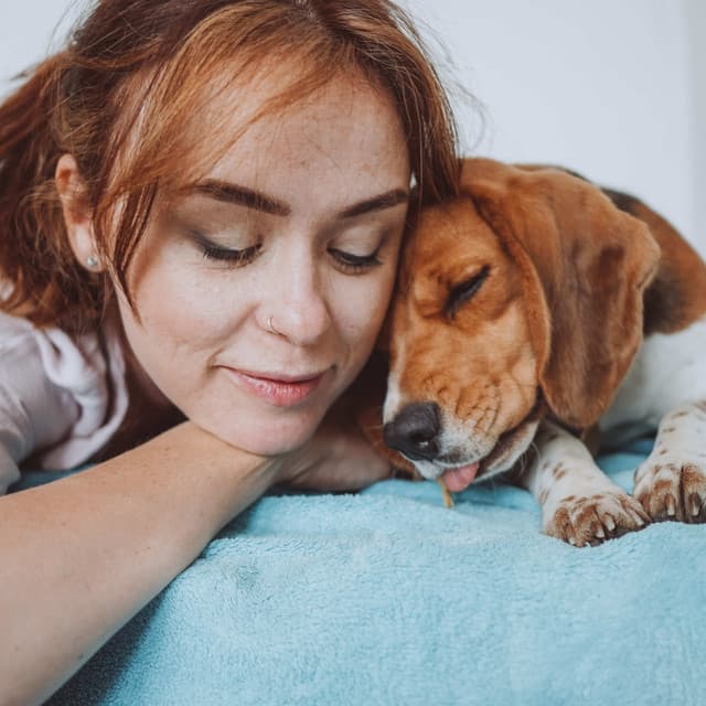 Lofi Pet Comforts: Melodic Furry Lullabies - Lofi Beats