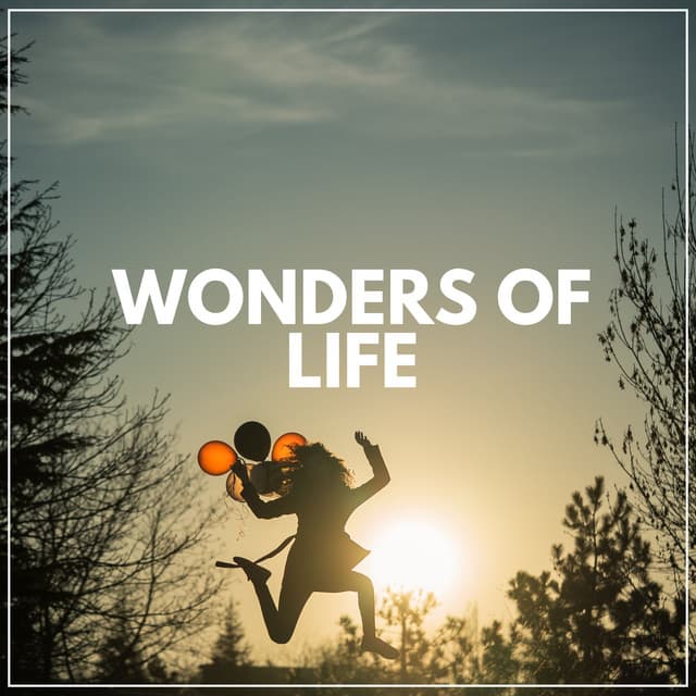 Wonders of Life - Zen Arena