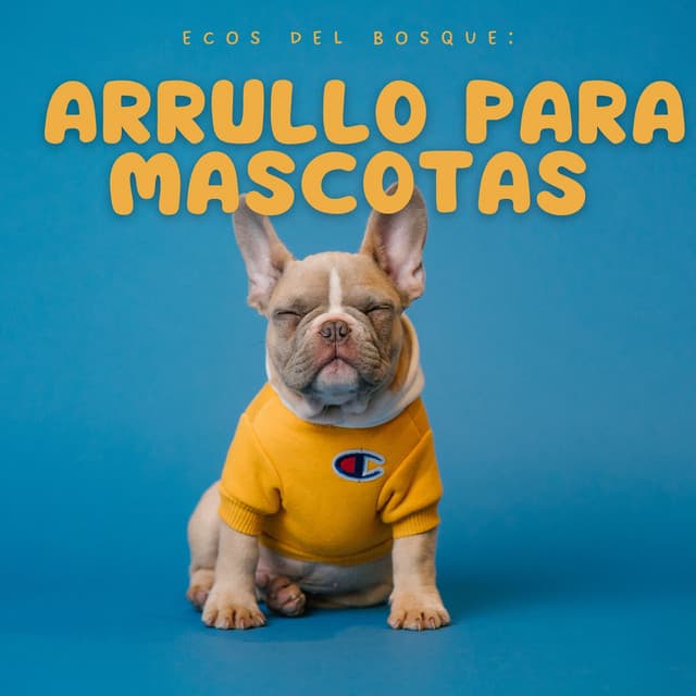 Ecos del Bosque: Arrullo para Mascotas - Sonidos Del Bosque