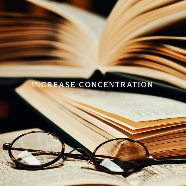 Increase Concentration: Study at Night, Focus on Learning, Non-Distractive Sounds, Studying with Nature - Study Music Universe