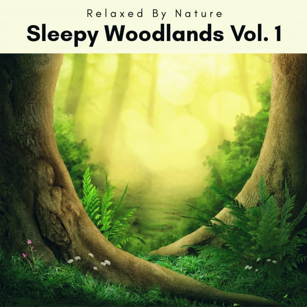 2022 Sleepy Woodlands Vol. 1 - Natural Woodland Sounds