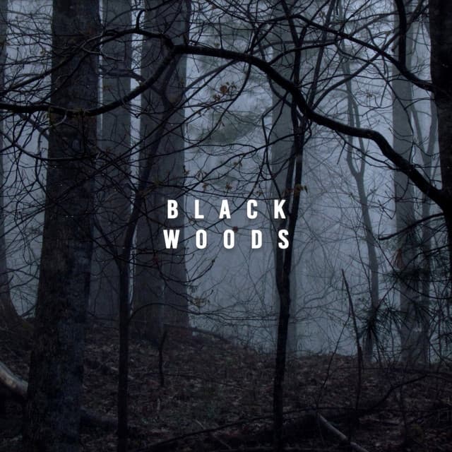 Black Woods - Rainforest Sounds