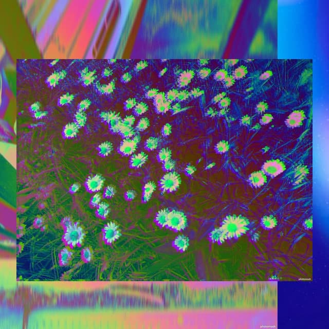 LOFI JAZZ - STAY LIT