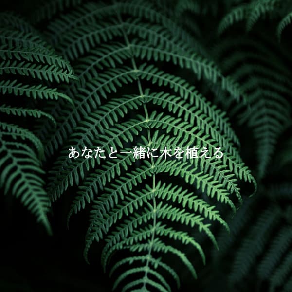 あなたと一緒に木を植える - Dinner Music Radio