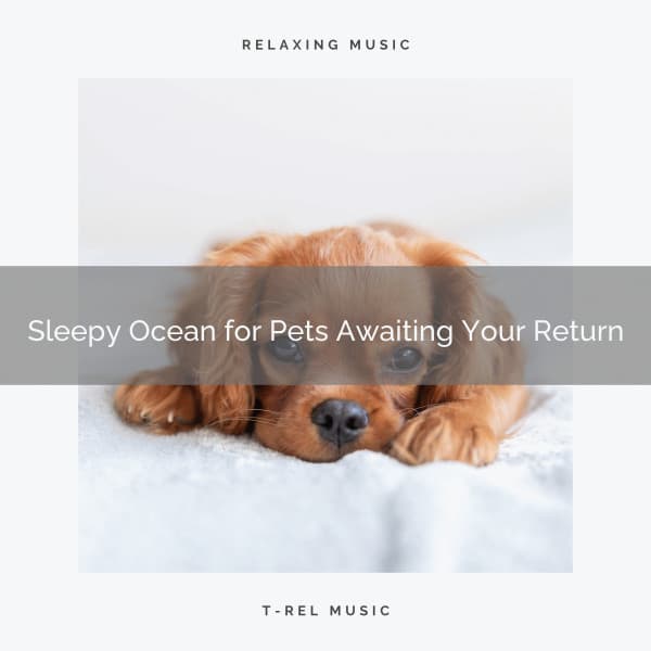 2021: Sleepy Ocean for Pets Awaiting Your Return - Music for Pets Library
