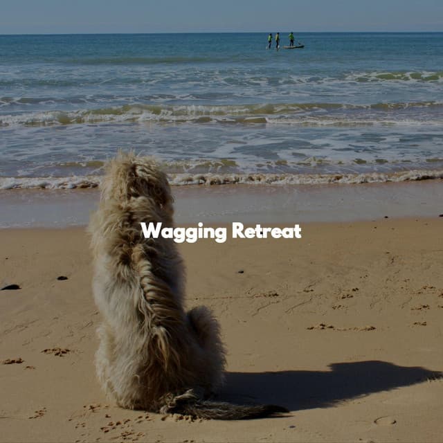 Wagging Retreat - Coffee Jazz